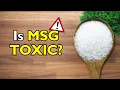 MSG Safe or Dangerous The Truth Revealed