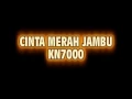 KN7000 - House cinta merah jambu