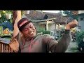 Download Lagu DJ terbaru berewog audio
