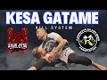 The Ultimate Kesa Gatame Kill System