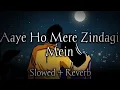 Aaye Ho Meri Zindagi Mein I Female | [Slowed +Reverb] | LoFi I Mood 90's