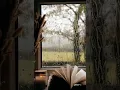 That Rainy Day