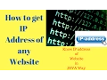 How To Get any Website IP Address in Java
