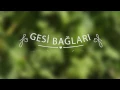 Kubat - Gesi Bağları (Yedi Karanfil)