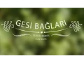 Download Lagu Kubat - Gesi Bağları (Yedi Karanfil)