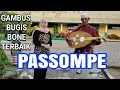 Download Lagu VIRAL KAN VIDEO INI GAMBUS BUGIS (PASSOMPE)