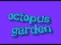 octopus's garden