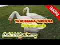Lagu YA ROBBANA' TAROFNA | SHOLAWAT MERDU | VIDEO ANAK BEBEK LUCU BERENANG