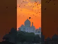 Download Lagu Mere Haath Mein |Song| Fanaa | Aamir Khan | Kajol |Sonu Nigam |Sunidhi Chauhan |Jatin-Lalit#tajmahal