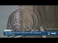 45 inmates at Naples jail test positive for COVID-19