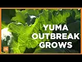 Yuma confirms parasite infections Here s why doctors are concerned