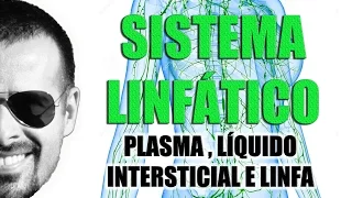 Sistema Linfático - Plasma, Líquido Intersticial e Linfa - Anatomia Humana - VideoAula 028