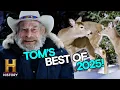 Tom s Best Moments of 2025 Mountain Men