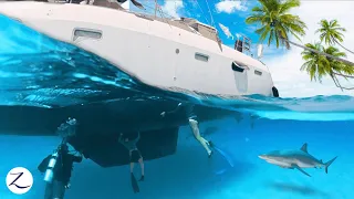 Boat Work in Paradise! But we also swim with sharks & dolphins! 🦈 🐬