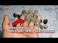 Lagu Promo tahun baru‼️350 dapat 6-cincin super duper