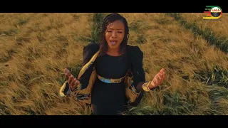 phelile msoni tekeni official music video 