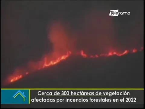 Cerca de 300 hectáreas de vegetación afectadas por incendios forestales en el 2022