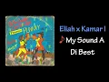 Punany Riddim Mix (2026)