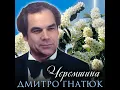 Черемшина