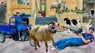 لما ابوك يجبلكم خروف العيد ويطلع خارق علاء حسين 