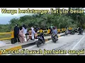 Lagu YANG DI TAKUTK4N PELEPASAN ULAR PYTHON BESAR UMUR 19 TAHUN KE SUNGAI AIR GAMBUT