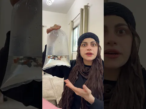 جابت سمك من المانيا 😂😂 ام سيف ونانو