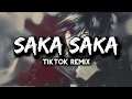 Download Lagu SAKA SAKA SONG (TIKTOK REMIX)