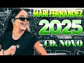 Download Lagu MARI FERNANDEZ 2025 ( MÚSICAS NOVAS) REPERTÓRIO NOVO 2025 - CD NOVO