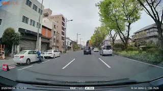                              دندنها