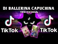 Download Lagu DJ BALLERINA CAPUCHINA X DAY ARLE DERE X MELODY (TIKTOK VIRAL REMIX) 2025