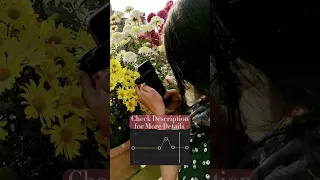 Beat Synch With 10 Photos Reel Tutorial Trending Instagram Reel Idea  Beat Synch With 10 Photos Reel Tutorial Trending Instagram Reel Idea