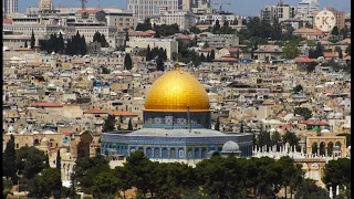 شهدانا قوافل    أخيرا انتصرت فلسطين    دندنها