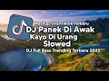 Download Lagu DJ PANEK DI AWAK KAYO DI URANG STYLE KONDANG SLOWED VIRAL TIKTOK TERBARU 2025 YANG KALIAN CARI !