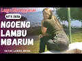 Lagu Ngoeng Lambu Mbarum #LaguHitsdanViral2026 #LaguManggarai2026