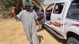                                               دندنها
