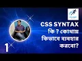 CSS syntax tutorial Bangla