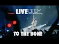 Download Lagu Pamungkas - To The Bone (LIVE at Birdy South East Asia Tour)