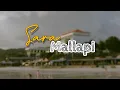 Download Lagu Sara Mallapi - Cover by. Fitri Adiba Bilqis || Lirik Lagu Bugis || Lirik Terjemahan Indonesia