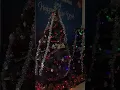 Download Lagu Merry christmas and a happy new year || Christmas in Indonesia #shorts