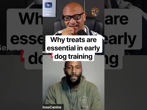 Why treats are essential in early dog training | Justin Brooks @_bosscanine