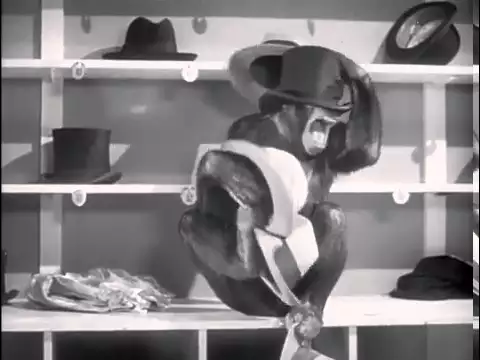 Tarzan's New York Adventure Official Trailer #1 - Virginia Grey Movie (1942) HD