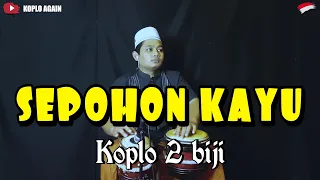 Download MASIH DUA BIJI ! SEPOHON KAYU KOPLO AGAK SPEED ( AUDIO BERSIH ) MP3