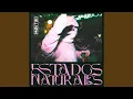 Download Lagu Las Bandas del Mañana