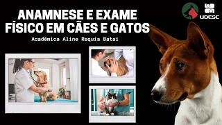 ANAMNESE E EXAME FÍSICO EM CÃES E GATOS