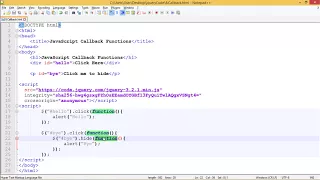 JQuery - JAvaScript Callbacks Functions
