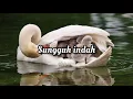 Download Lagu SUNGGUH INDAH BY ROBERT DAN LEA SUTANTO | VIDEO LIRIK LAGU ROHANI