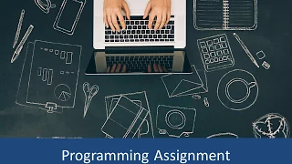 Programming Assignment Experts for Online Help in Programming Assignments