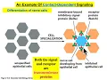 Download Lagu Cell \u0026 Molecular Biology_Cell Signaling _Ch16 Full