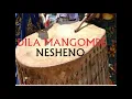DILA MANG'OMBE NASHENO BY MBASHA STUDIO 2021