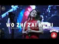 Download Lagu Wo Zhi Zai Hu Ni (cover) by W\u0026F Band